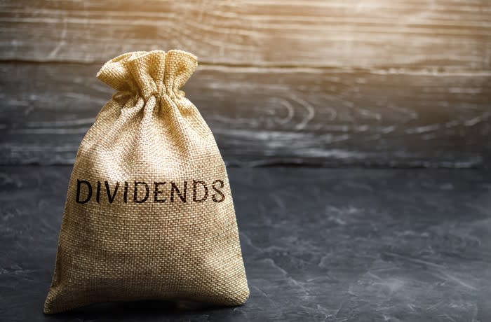 A money bag with the word dividends written on it.