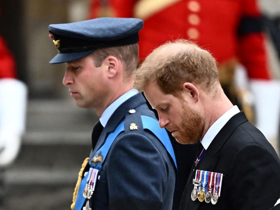 Prince Harry and Prince William walk in the procession behind the Queen's coffin
