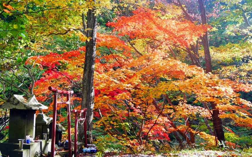 日本秋田｜大館・小坂鐵道鐵軌自行車