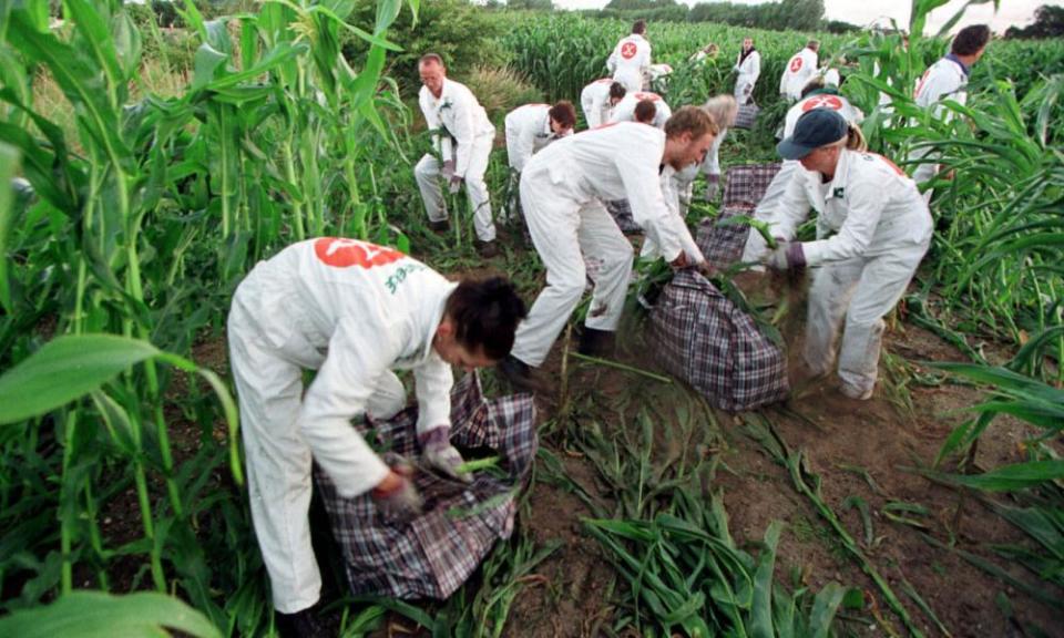 <span>Photograph: Greenpeace/PA</span>