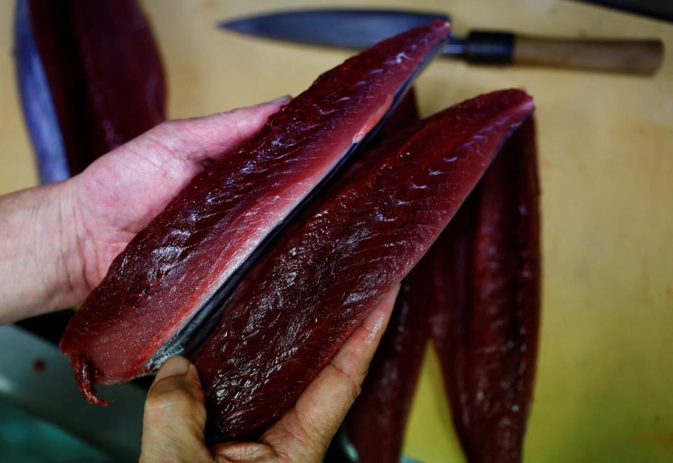 He compares two pieces of different katsuo with unusually abundant pink fat (Reuters)