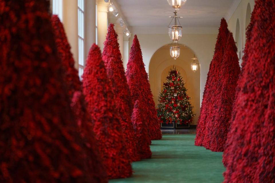 Crimson topiaries line the East Colonnade of the White House in 2018.