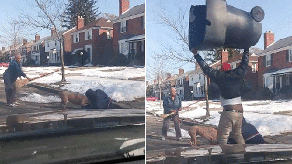 A man has been filmed throwing a wheelie bin at a dog to try and stop an attack on a postman.Facebook/ Oneil Colley