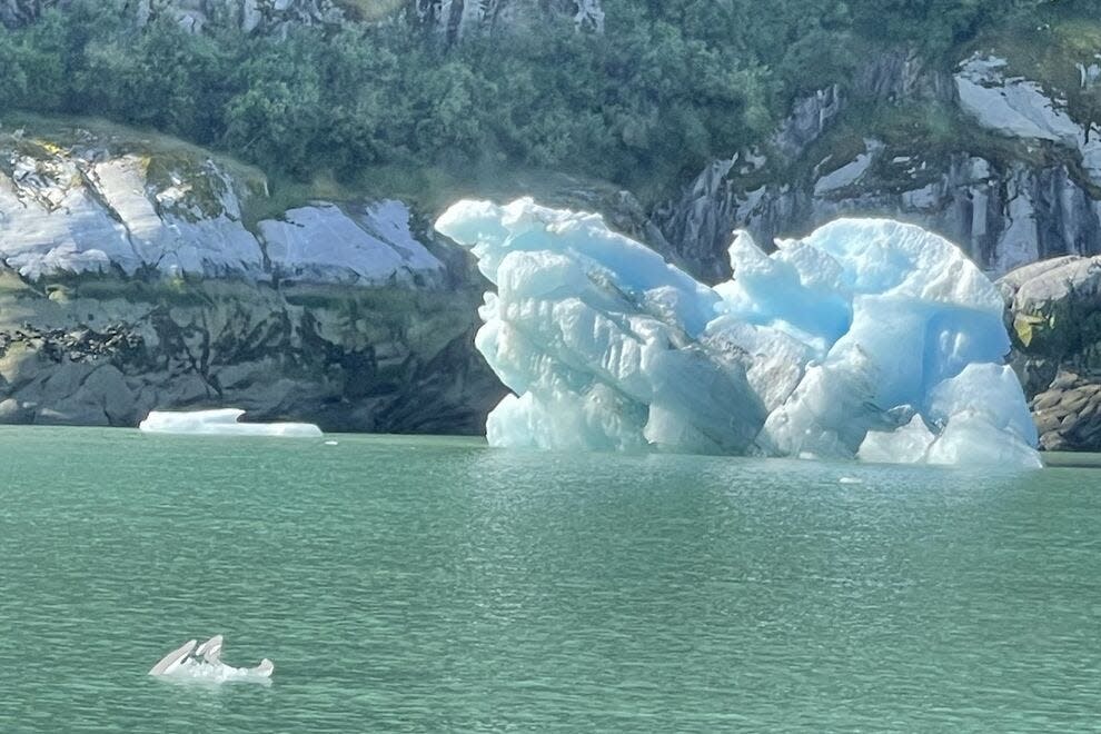 There's always something to see on an Alaska cruise