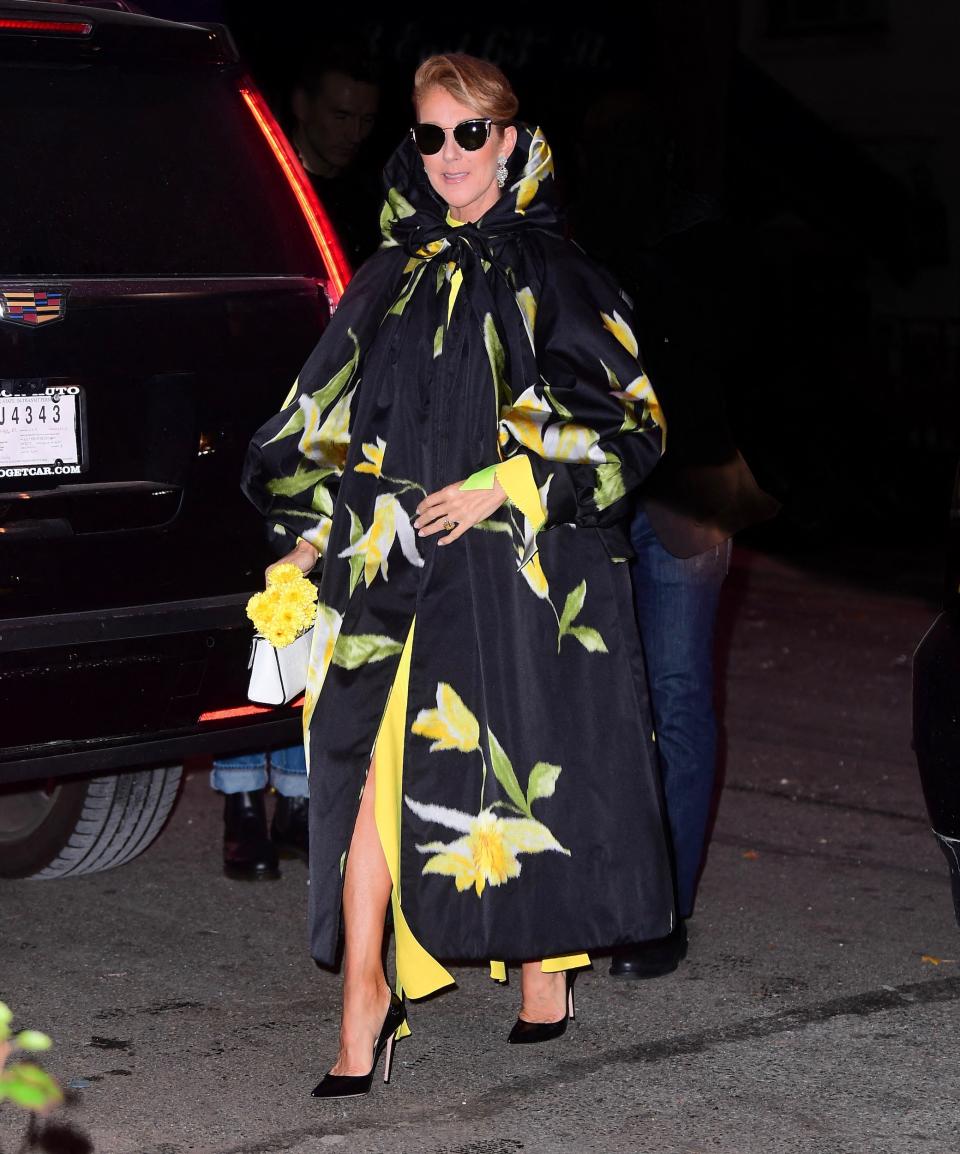 Céline Dion à New-York en novembre 2019