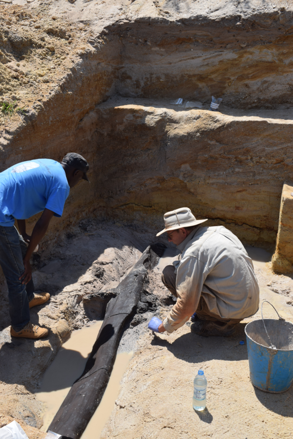 This 1.4-metre long timber was worked and shaped by members of an extinct species of humans half a million years ago (Deep Roots of Humanity research project and University of Liverpool)