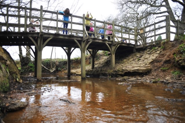 pooh sticks