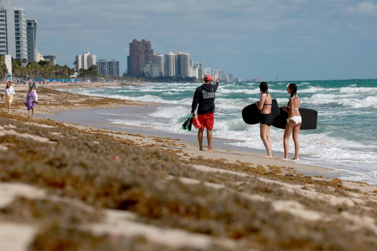 Sargassum seaweed started washing up in Fort Lauderdale, Florida, in mid-March 2023. <a href="https://www.gettyimages.com/detail/news-photo/beachgoers-walk-past-seaweed-that-washed-ashore-on-march-16-news-photo/1473976187" rel="nofollow noopener" target="_blank" data-ylk="slk:Joe Raedle/Getty Images;elm:context_link;itc:0;sec:content-canvas" class="link ">Joe Raedle/Getty Images</a>