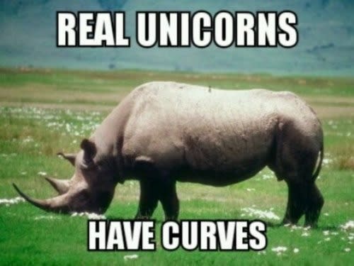 funny-memes-real-unicorns-have-curves