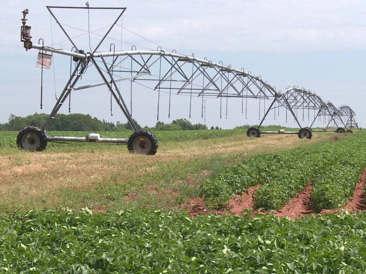 Relatively few farms on P.E.I. currently have irrigation systems. (CBC - image credit)