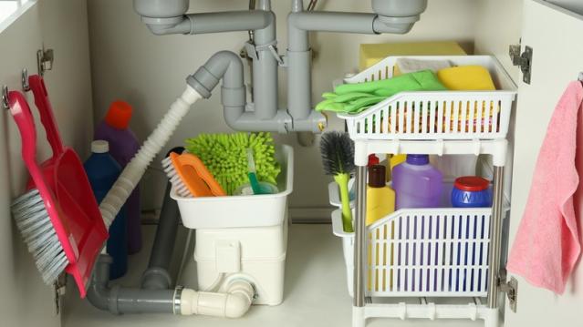 This Dollar Tree Brush Is Great for Cleaning Your Kitchen Sink