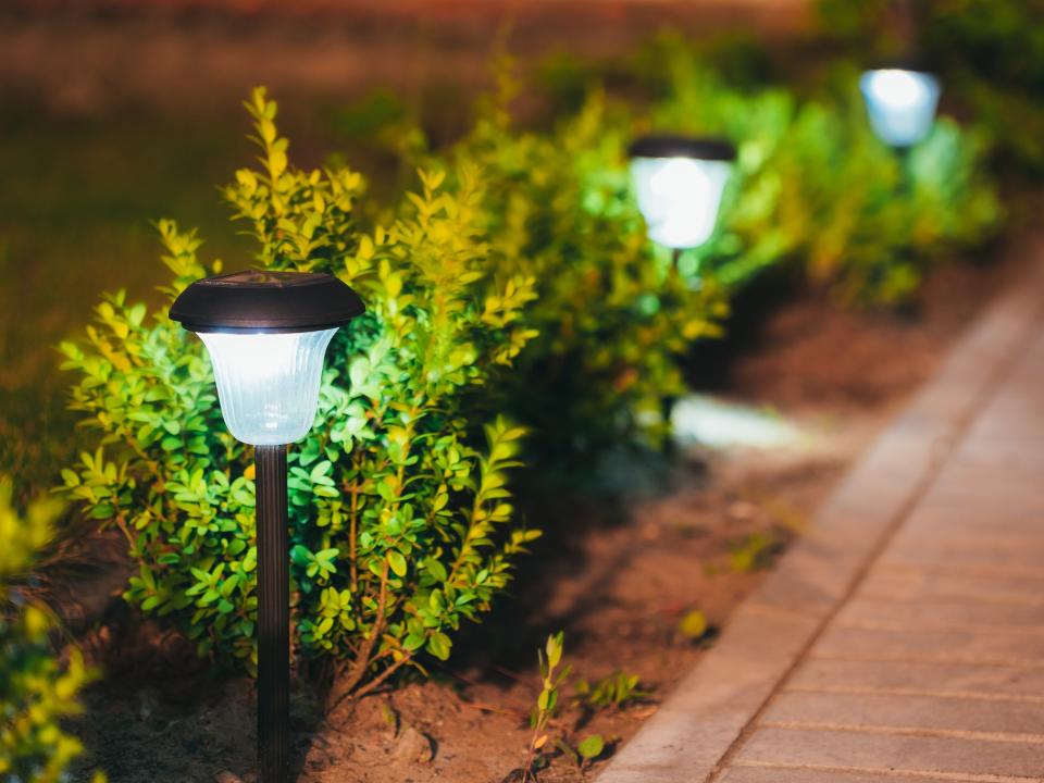 A small path light next to a bush along a brick walkway. More bushes and two more path lights are in the background