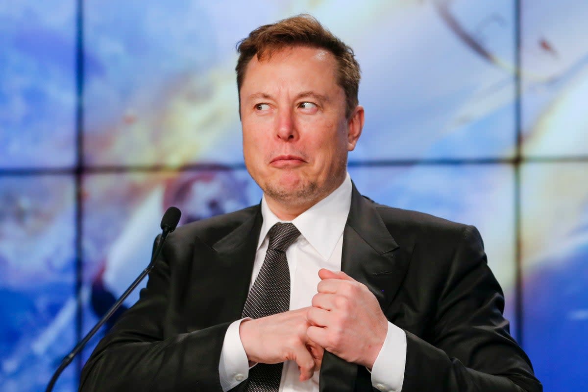 Maybe there’s a ‘real’ Musk that is continually zany and uttering bewildering remarks, like David Bowie or Donald Trump (BBC/72 Films/Reuters)