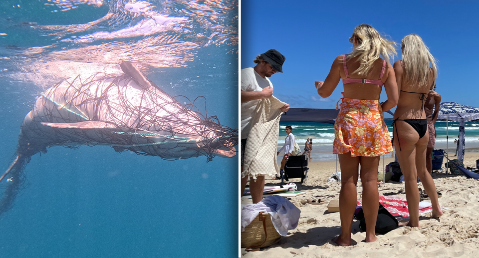 Left: a dead dolphin in a net at Bronte. Right: women and a man standing on the sand at Bondi.