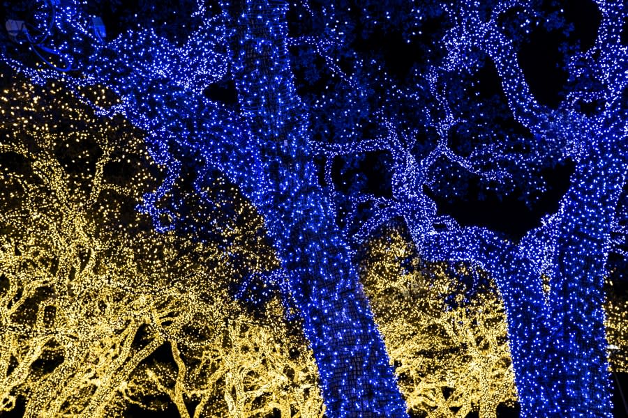 Holiday lights first lit up Nov. 24 and will be on display from dusk to midnight until Jan. 7 in the historic square off Main Street, in Memorial Park and at the Pedernales Electric Cooperative headquarters. (Courtesy: Pedernales Electric Cooperative)