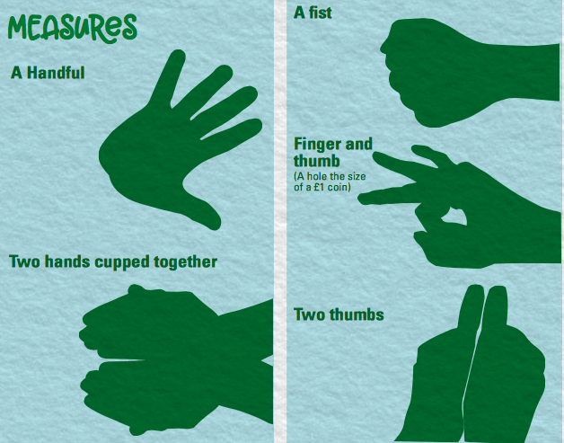 The new guidance uses hands and spoons to help people better measure their portion sizes [Photo: BNF]