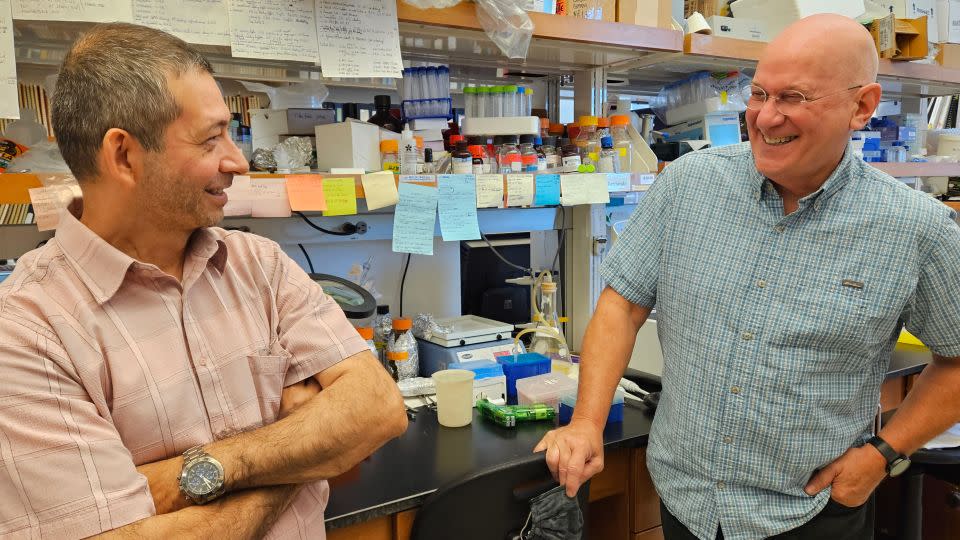 Rick Tarleton, at right with Angel Padilla, leads a team of researchers at the University of Georgia that has developed a new drug for Chagas. - Paula Andalo/KFF Health News