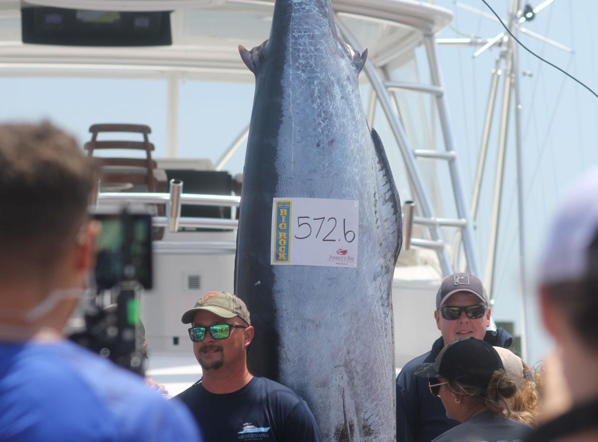Mercenaria's 572.6pound marlin holds on to win Big Rock Blue Marlin