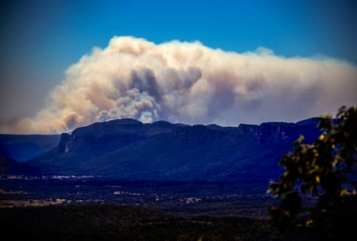 A large bushfire in the Wollemi National Park near Lithgow, west of Sydney