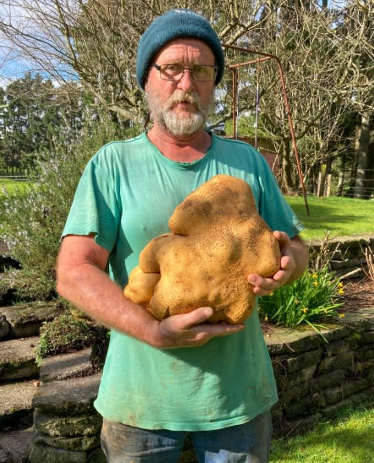 這顆巨大馬鈴薯名叫「道格」，目前已經申請金氏世界紀錄。（圖／翻攝自@elliotwagland推特）