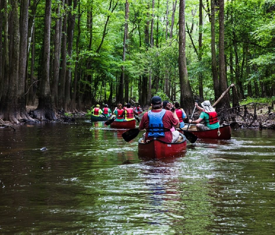 <p>Courtesy of Palmetto Outdoor</p><p>Trek to South Carolina's only national park and you’ll be handsomely rewarded—especially if you see it from the water, as is the case with Palmetto Outdoor's signature, three-hour, paddle-in-hand tour. The five-mile canoe tour puts in at the South Cedar Creek Canoe Landing, where your guide will provide intel on the mesmerizing Congaree Swamp system. </p><p>Winding through oxbows and the maze-like channels of the Tupelo Basin, you’ll be flanked by giant <a href="https://www.americanforests.org/champion-trees/" rel="nofollow noopener" target="_blank" data-ylk="slk:champion trees;elm:context_link;itc:0;sec:content-canvas" class="link ">champion trees</a> lining the shore. These are some of the tallest trees in eastern North America. Be on the lookout for “cypress knees,” a mysterious phenomenon where these leafy towers have knobby pieces around their trunks for unknown reasons. Time your trip for the fall and you’ll be treated to spectacular foliage in one of the largest remaining tracts of old growth hardwood forest in the Southeast. </p><p>[From $100 per person; <a href="https://www.palmettooutdoor.com/tour" rel="nofollow noopener" target="_blank" data-ylk="slk:palmettooutdoor.com;elm:context_link;itc:0;sec:content-canvas" class="link ">palmettooutdoor.com</a>] </p>