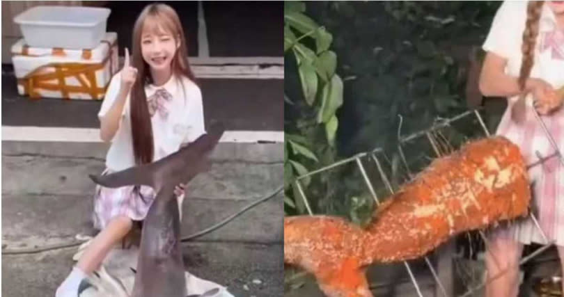 「提子」拍攝水煮鯊魚和烤鯊魚的影片在網路掀起熱議。