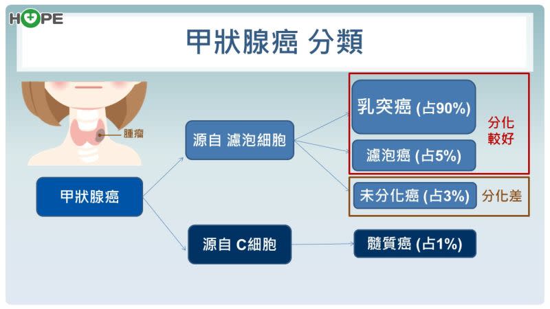 ▲甲狀腺癌有不同種分類，如果是為分化癌的話治療相對不樂觀。（圖/財團法人癌症希望基金會官網）