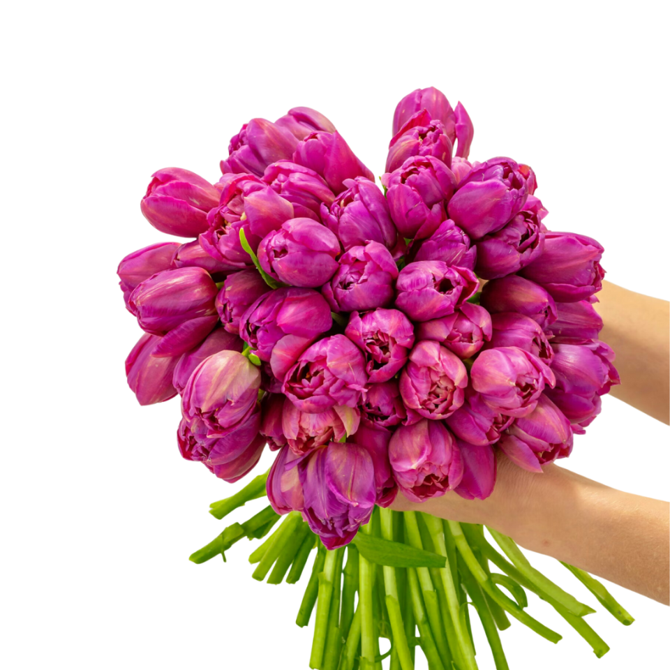 7 Cheapest (& Best)  Flower Delivery Services in 2024