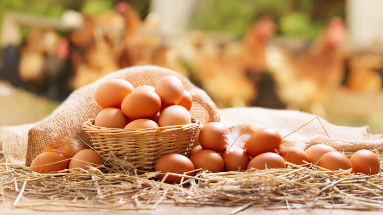 Basket full of eggs 