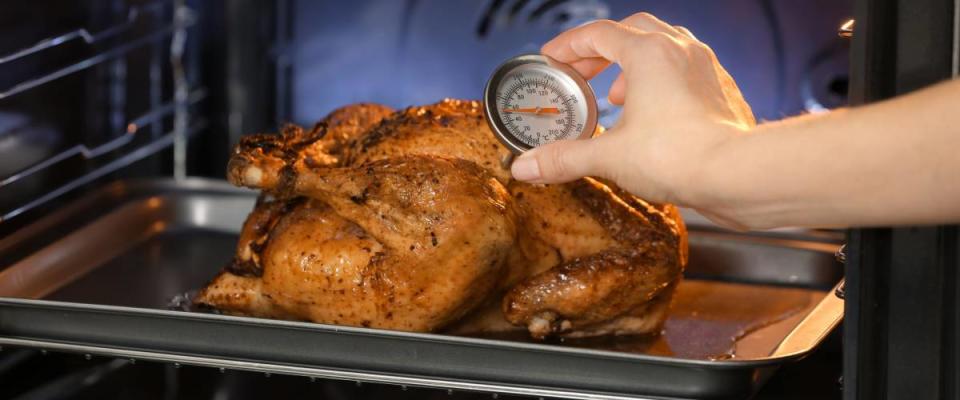 Young woman measuring temperature of whole roasted turkey with meat thermometer