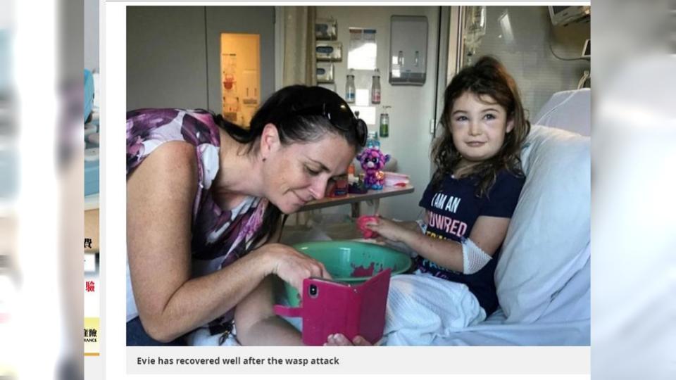 澳洲一名7歲女童慘遭大黃蜂群起攻擊，全身上下被螫了300多下，險些喪命。(圖／翻攝自鏡報)