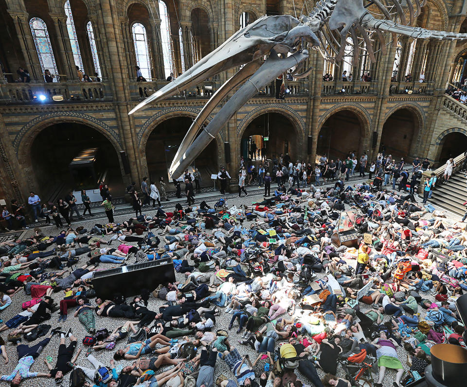 A die-in protest under the blue-whale skeleton at the Natural History Museum in London on April 22. | Steve Bell—Camera Press/Redux