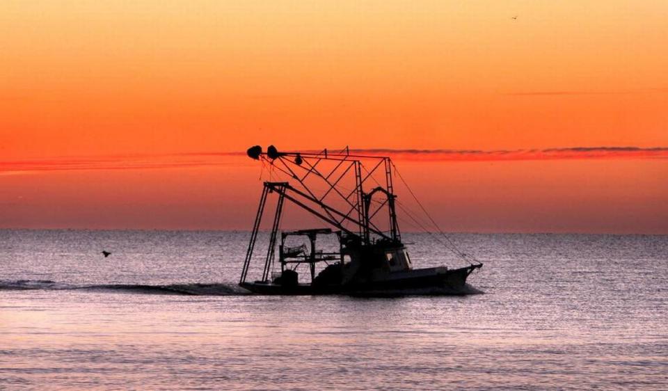 A fisherman leaves Pass Christian harbor before sunrise, Monday, Jan. 18, 2016. One of the largest oyster beds in the country is off Pass Christian, but repeated openings of the Bonnet Carré Spillway have killed most of the oysters.