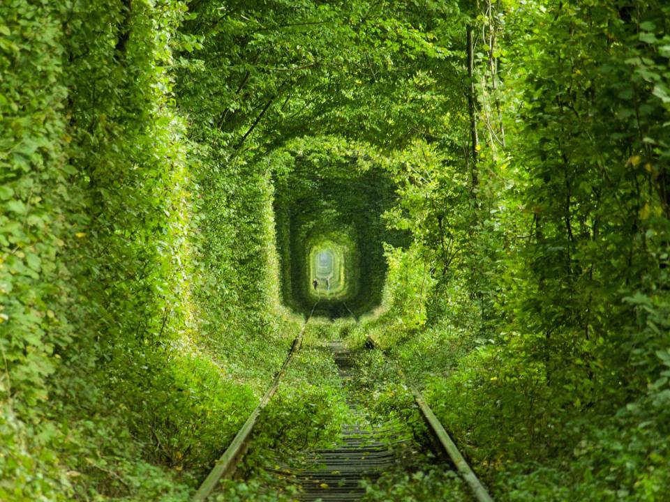 Tunnel of Love in Klevan, Ukraine