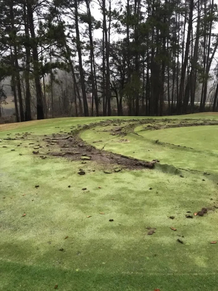 The 11th green at The Golf Club of Summerbrooke was vandalized Saturday.
