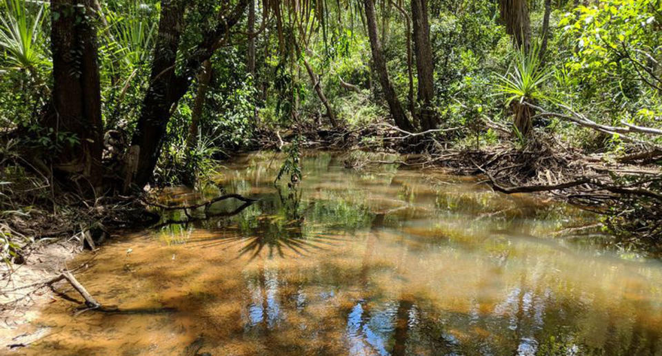 A stock image of a creek in Noonamah, southeast of Darwin. Jimmy O’Connell's body was found in a creek bed.