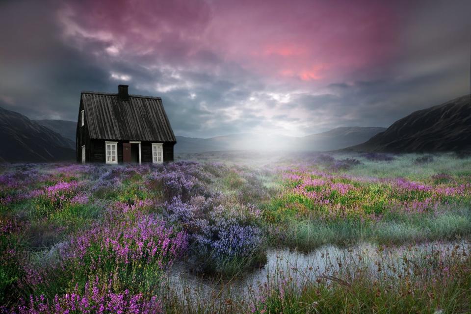 A mysterious black cabin sits in a field of flowers