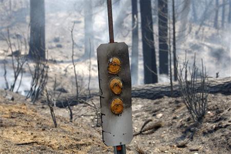 Scorched roadside reflectors stand near a smoldering forest at the Rim Fire just outside of Yosemite National Park, California, August 28, 2013. REUTERS/David McNew