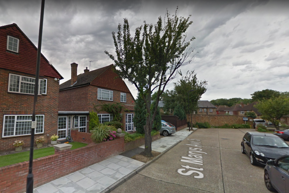 A file image of St Mary's Avenue, which police officers were called to Saturday night: Google Street View