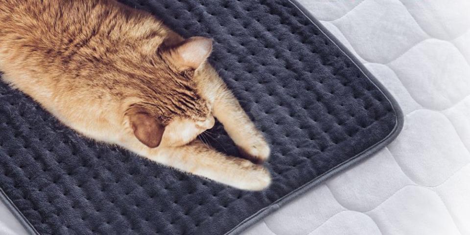 These Heating Pads Will Have Your Sore Muscles Thanking You