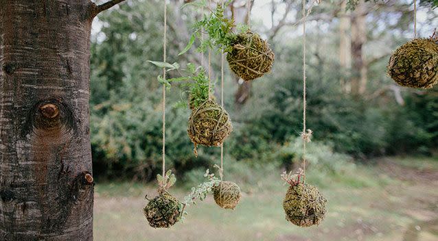 The balls kokedama , made by Kathryn and Micheal, a horticulturalist. Source: Mitch Pohl Photography