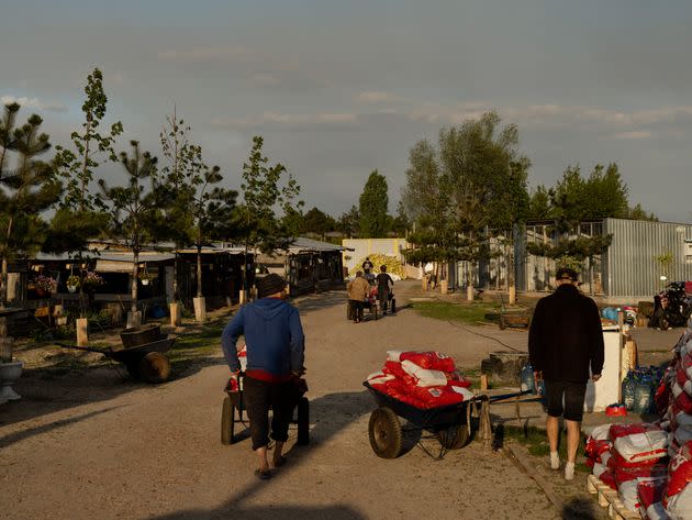 Workers distribute food to dogs at Sirius animal shelter in Fedorivka, Ukraine.