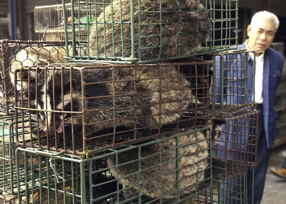 FILE - In this Jan. 5, 2204, file photo, a man looks at caged civet cats in a wildlife market in Guangzhou, capital of south China's Guangdong Province, China. Nearly two decades after the disastrously-handled SARS epidemic, China’s more-open response to a new virus signals its growing confidence and a greater awareness of the pitfalls of censorship, even while the government is as authoritarian as ever. (AP Photo/Xinhua, Liu Dawei, File)