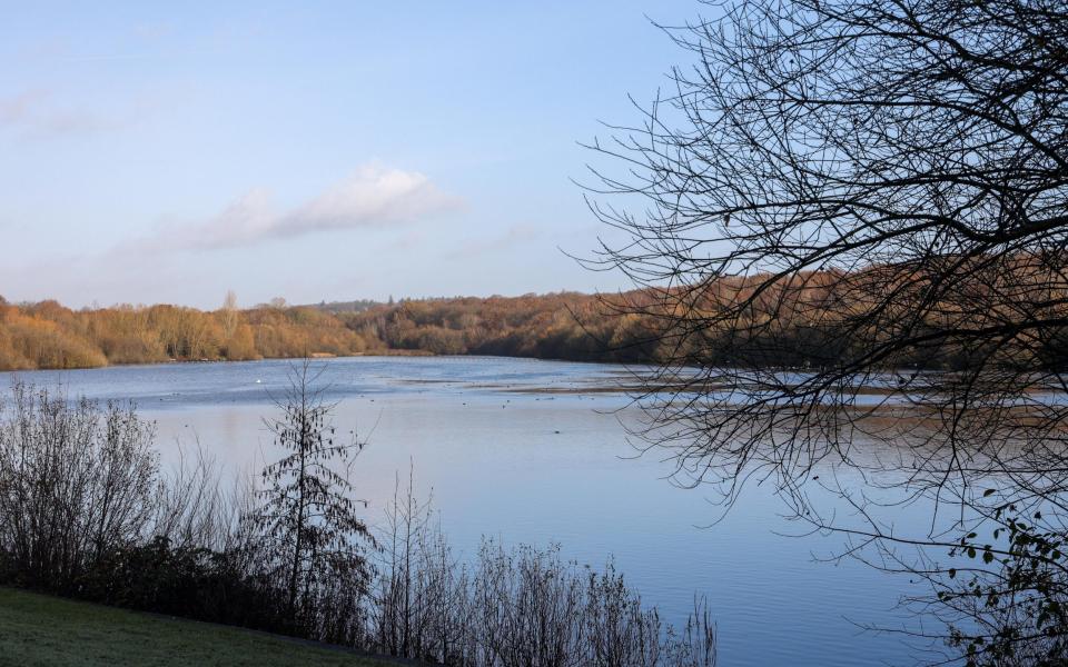 Ruislip Lido and the adjacent Ruislip woods,  the first national nature reserve in Greater London