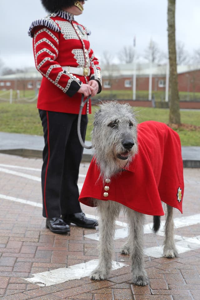 Royal Irish Guards visit