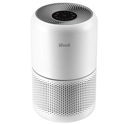 Levoit Core 300 Air Purifier (Amazon / Amazon)