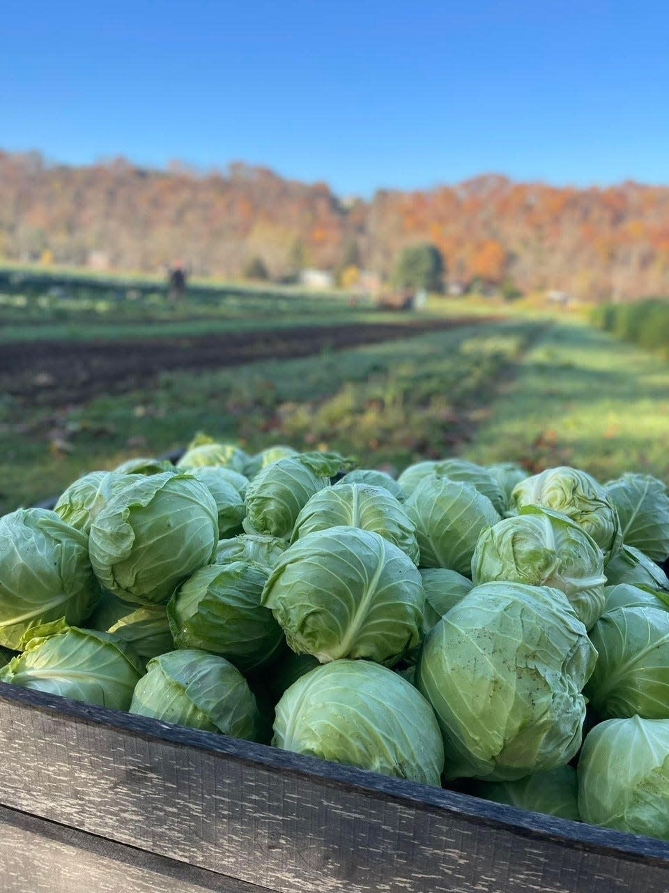 Rolling Harvest Food Rescue collects local produce from New Jersey and Pennsylvania farms.