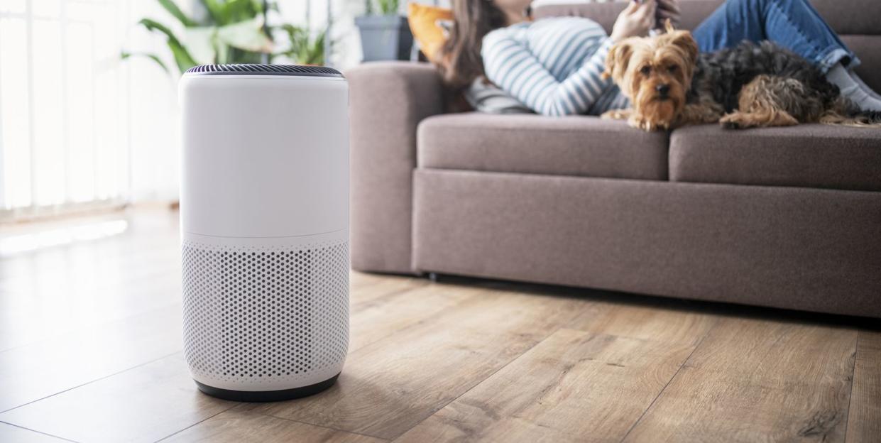 young woman in living room setting up home air purifier