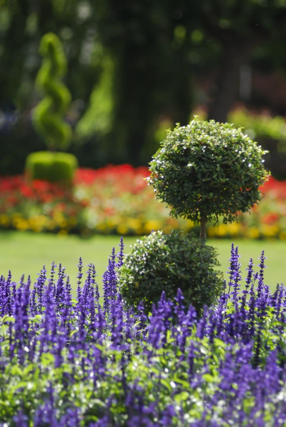 vintage garden design