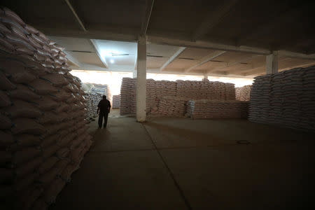 A man walks inside a wheat storage in Qamishli, Syria September 18, 2017. REUTERS/Rodi Said